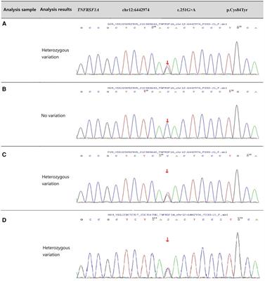 Tumor necrosis factor receptor-associated cycle syndrome: a case report and literature review